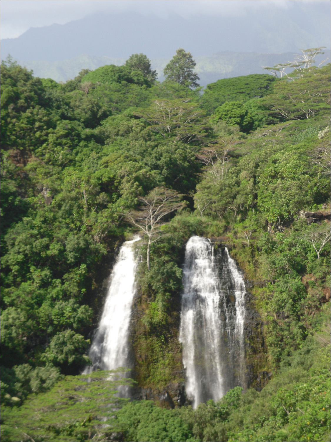 Opaekaa Falls